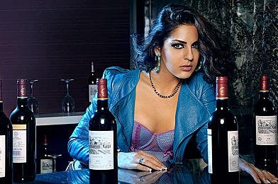 《Zoomies! Cat Racing》试玩发布 猫咪竞速新游